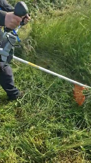 Husqvarna 535RXT Motorsense Freischneider Stufe 4 Dineiger AKKU