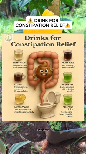 1.5K views | Drink for Constipation Relief! #lifestyle #constipation #viralreelsシ #fyp #healthtips #life | Dumaguete Home and Hotel Service Massage | Facebook