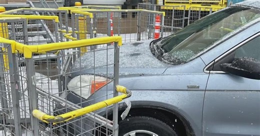 ICE makes arrest in Hazel Park