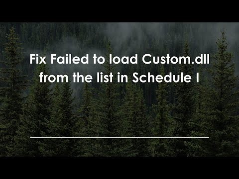 Fix Failed to load Custom.dll from the list in Schedule I