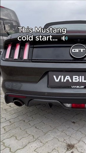 This Cold Start is LOUD 😳 Mustang GT 5.0 V8