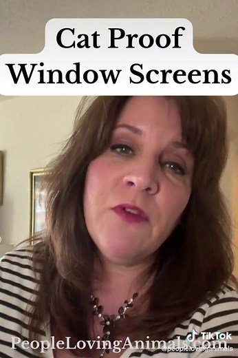 Cat Proof Window Screens for Pet Safety