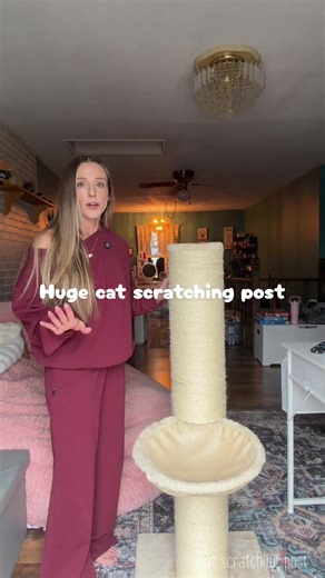 The Ultimate Cat Scratching Post: A Must-Have for Cat Owners