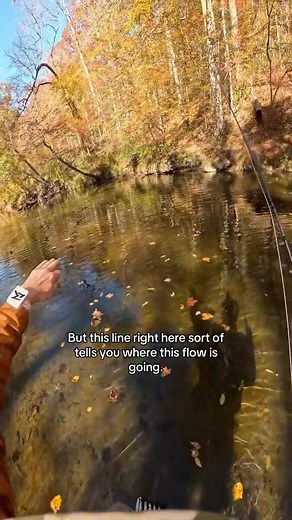 12 reactions | Slow flow is tough. It’s easy to spook fish with mending, and when your flies hit the water. Sometimes the deeper water gives you some protection from the splash. As your fly drifts deep, the fish will notice it dropping. #flyfishing #fishing #learntoflyfish #rainbowtroutfishing #deepwater | Flyfishdelawhere | Facebook