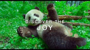 Earth: One Amazing Day 💚 Coming soon. | BBC Earth