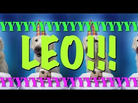 HAPPY BIRTHDAY LEO! - EPIC Happy Birthday Song