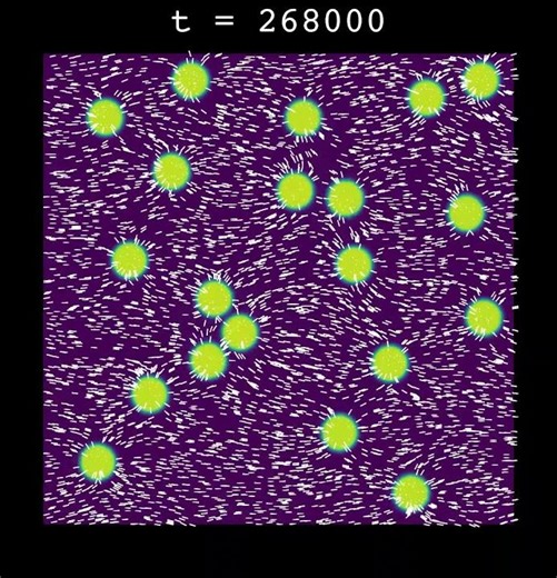 Movie S1. Quiescent State