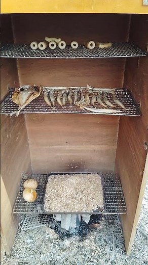 自作の燻製器で燻製作り