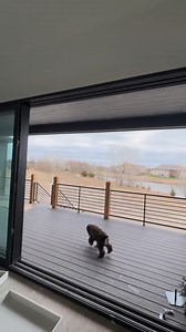 karleshion creo que va ser un sorteo para sus fans para que puedan conocer su casa 😍 | Marcos De La Torre Fans