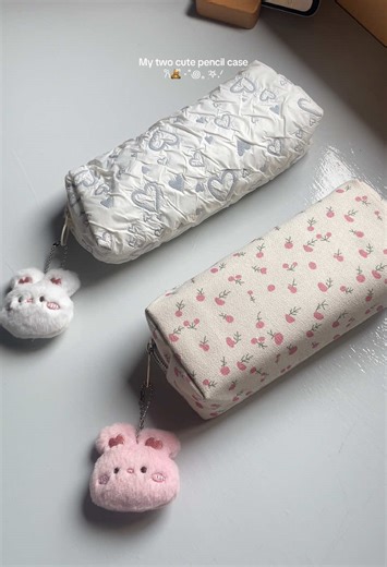 Cute Pencil Case Ideas for School and Crafting