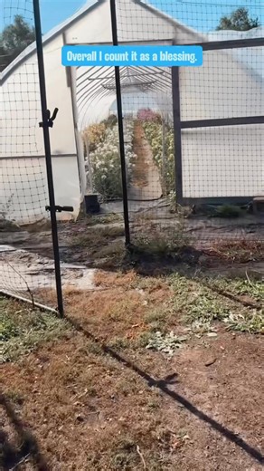 💙Life and farm update! It's so crazy to think I haven't worked in the field for two months. I'm so thankful I'm improving each day. Thanks, flower friends! #flowerfarm #nebraska | Bright Hope Family Farm