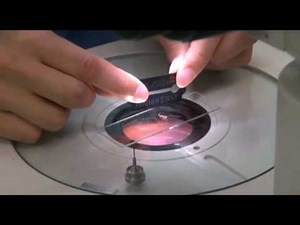 結晶のマウント手順