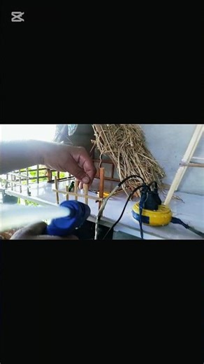 "Create Your Own Adorable Mini Christmas Tree & Crib – Easy DIY Tutorial!"🥰🥰#shorts #christmas