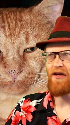 Playing All The Garfield Games