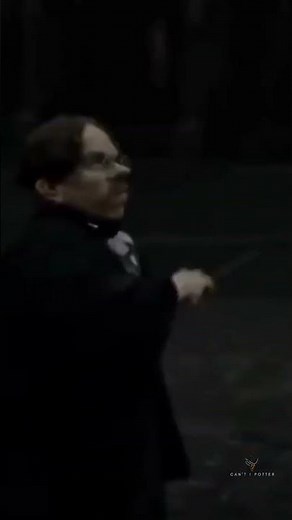 Professor Flitwick Magic Scenes | Harry Potter