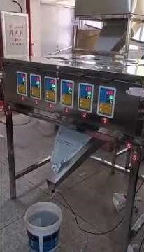 6-Head Weigher Filling Machine: 6x Efficiency for High-Speed Production
