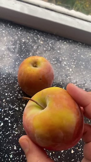 Kyran Nijjar on TikTok