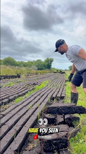 Traditional way of making fuel from peat soil