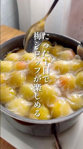 【たった1日で作る梅シロップ】梅の実ふっくら！蜂蜜の優しい味わい#簡単レシピ #梅シロップ #梅仕事 #蜂蜜