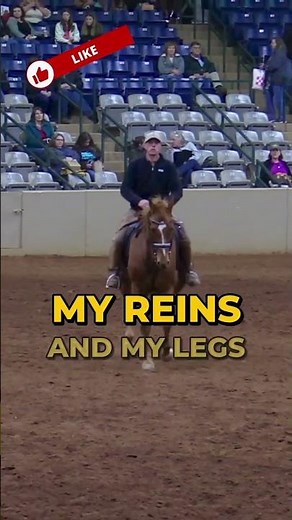 Mastering Straightness and Balance with Jack Curtis