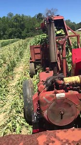 2.7K views · 180 reactions | Corn picker in action! Git-R-Done! #frazierfarms #bestcornever | Frazier Farms | Facebook