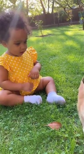 Baby tries to talk to garden bunny! 🐇| Baby Bee #baby #Cutebaby