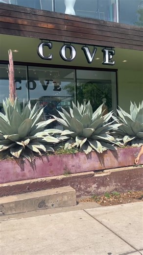 Shopping at COVE is like going on a treasure hunt for your unique style✨👑 #retailtherapy #coveclothing #boutiqueclothing #boutiquetok #boutiquetour #atxboutique