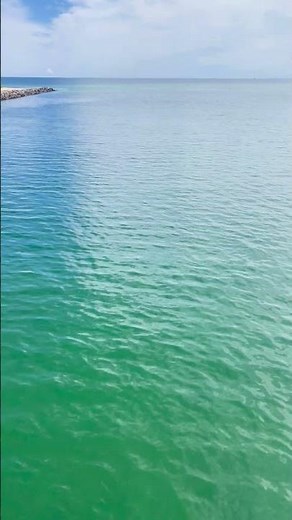 Iconic Jaws Bridge 🌊 | Stunning 4K View, Martha’s Vineyard