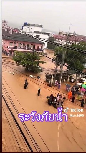 #travel #พญานาคให้โชค #ทีทีวีนิวล์ออนไลน์ #love #ปลาพญานาค