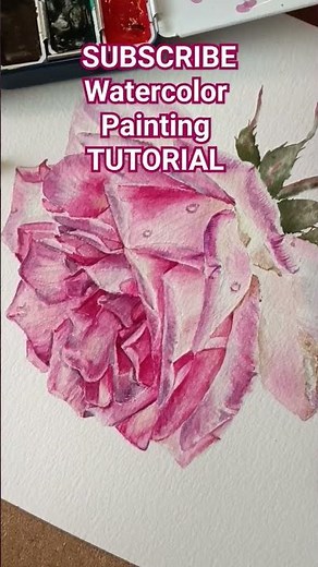 Watercolor Painting TUTORIAL for BEGINNERS - Botanic Rose - SUBSCRIBE. Нарисовать розу акварелью.