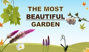 English Short Story🌺: The MOST BEAUTIFUL GARDEN (Level A1-A2), with Superlatives🌷 - Learn English With Africa