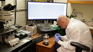 Applications of Spatio-temporal Mapping and Particle Analysis Techniques to Quantify Intracellular Ca2  Signaling In Situ