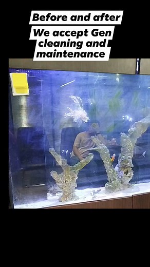 3.6K views · 19 reactions | We accept Gen cleaning and maintenance services for aquarium and fishpond #fypシ゚viralシ #fbviralreels #viralreels #videoviralreels #fbvideoviral #fbviral #fbviralvideo #animallover #animals | All about pets | Facebook