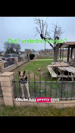 Junk Removal Pricing Breakdown and Job Insights