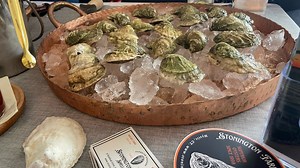 CT unveils the first ‘Oyster Trails' map for restaurants, farms and retail