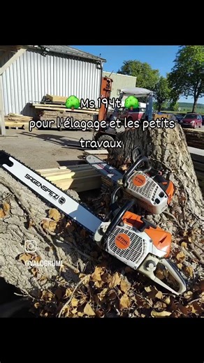 ms462 ou ms500i?