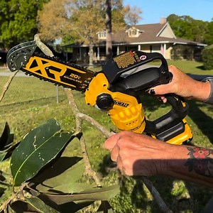 5 best mini chainsaws of 2025, tested and reviewed