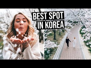 You Need To Visit Busan in South Korea | Everything to See & Do