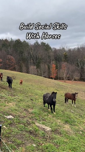 31 reactions | Did you know over 90% of communication is nonverbal?...