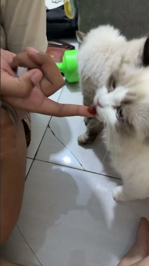 Drink vitamin nutri gel plus