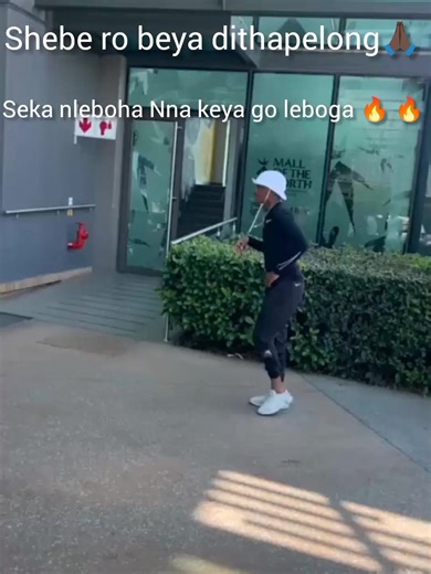 Exploring the World of Shebeshxt: New Music and Events