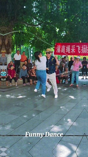 Funny Dog Dance Videos Compilation