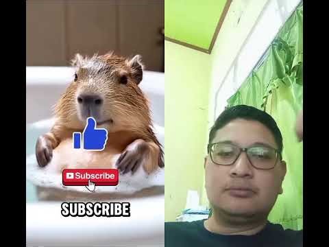 jangan ganggu boneka seperti ini #shortsfeed #viral #shorts
