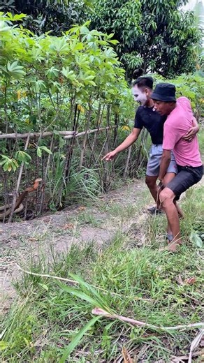 Cemong & Sugrim Ketemu King Cobra di Sawah, Langsung Minta Tolong 😱#shortsfeed #shortvideo #snack