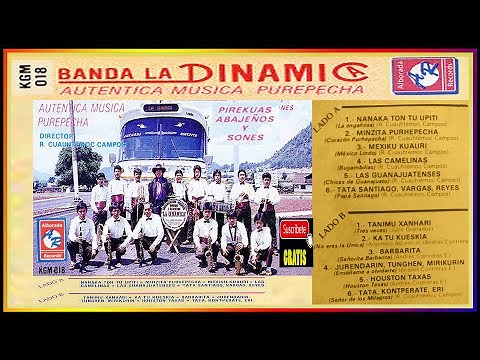 12 EXITOS EN PUREPECHA BANDA LA DINAMICA
