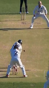 Nathan Lyon strikes late in Shield clash