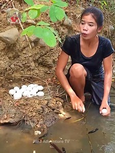 1.2M views · 10K reactions | Forest Cooking – Baby Duck Eggs Prepared Primitive Style #cooking #PrimitiveCooking #recipe #deliciousfood | Rina Adventure TV | Facebook