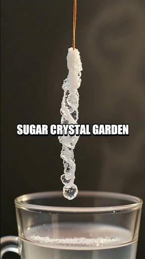 Kaleidoscope Kitchen Experiments A DIY Science Fun Quest