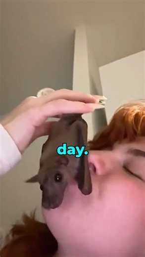 The Girl and Her Bat 🦇 (@pixyvava)