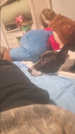 She Loves White Fang 2